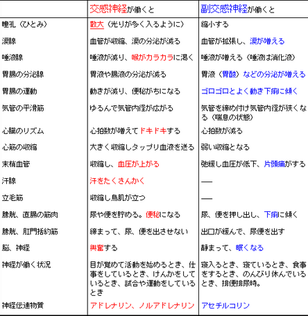 江南市　整体　江南健生堂　自律神経失調症