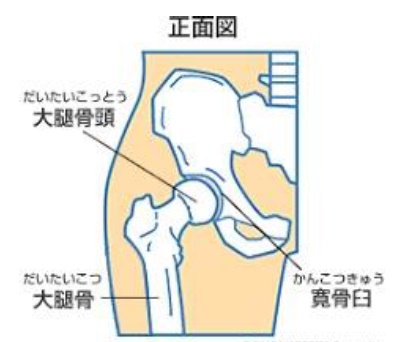 股関節痛　江南市　整体