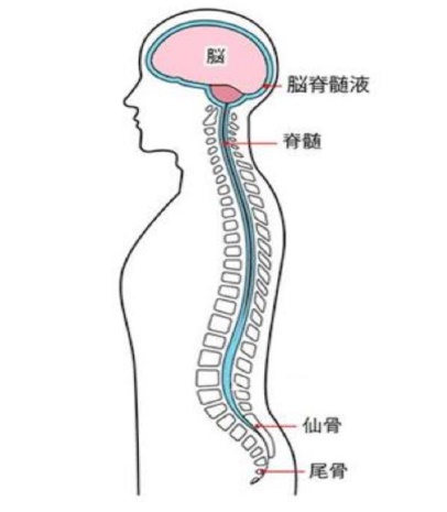 江南市　整体　体質改善