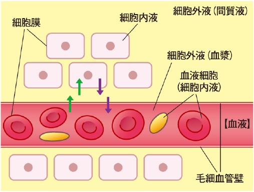 江南市　整体　体質改善