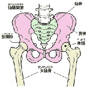 江南市　腰痛　骨盤のゆがみ